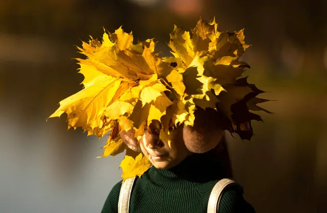 A young woman walks, wearing a cap made of leaves during sunny Autumn weather in Moscow, Russia on October 10, 2021. (Photo by Maxim Shemetov/Reuters)
