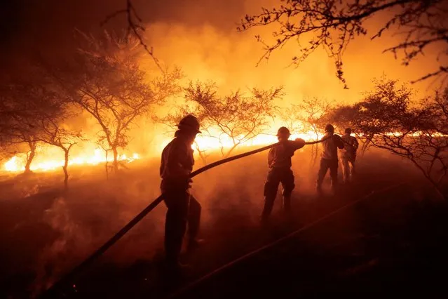 Firefighters fight forest fires, in Surubi'y, Paraguay, January 10, 2022. (Photo by Cesar Olmedo/Reuters)