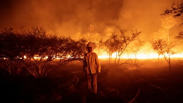 A firefighter stands amidst burning vegetation as he and his colleagues try to extinguish forest fires, in Surubi'y, Paraguay on January 10, 2022. (Photo by Cesar Olmedo/Reuters)