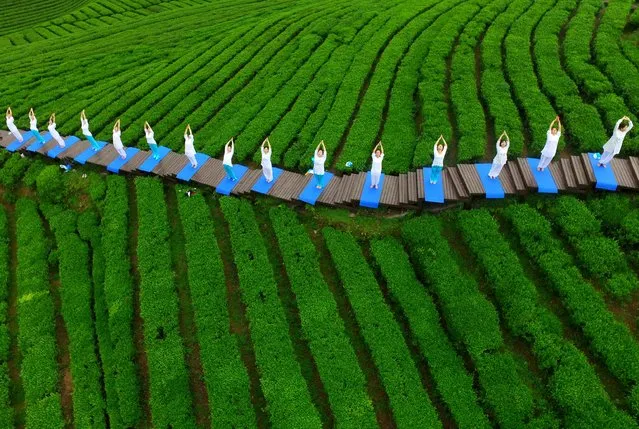People perform yoga at a tea culture park to promote the tea there, in Enshi, Hubei province, April 24, 2016. (Photo by Reuters/Stringer)