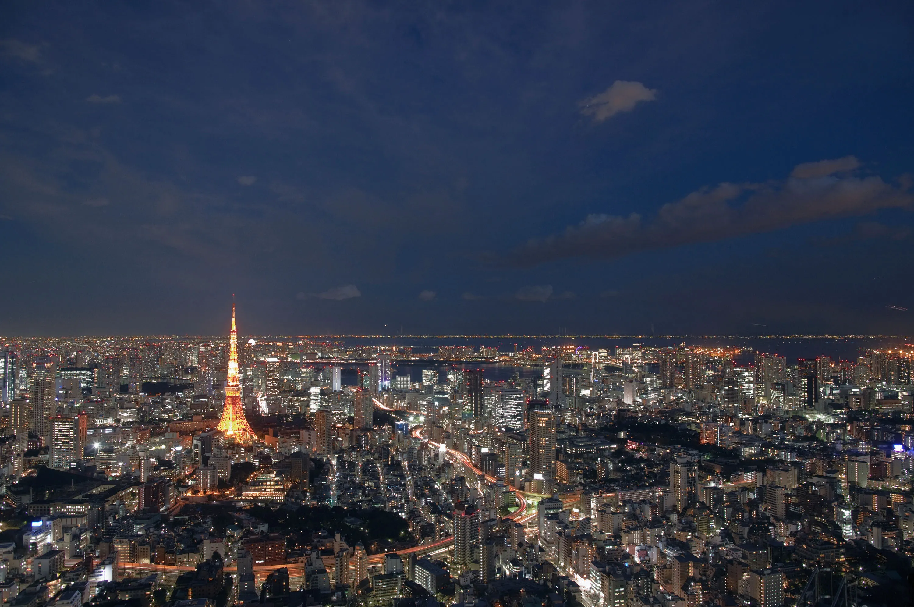 A General View of Tokyo in High Resolution