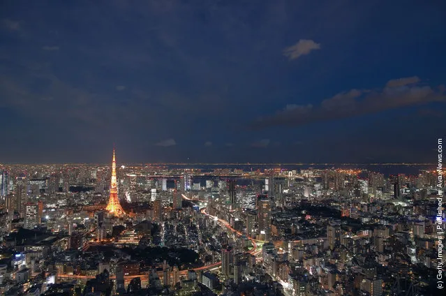A general view of Tokyo Tower and the surrounding area in high resolution (~5600x3500 px)