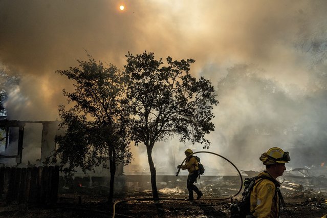 Firefighters battle the Boyles fire in Clearlake, Calif., on Sunday, September 8, 2024. (Photo by Noah Berger/AP Photo)