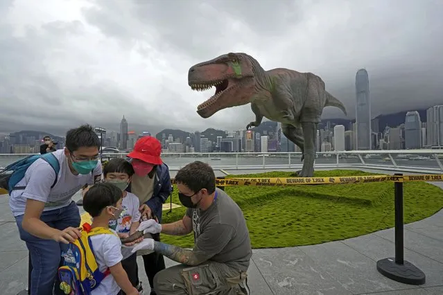A paleontologist shows a dinosaur tooth fossil to a family in front of a robotic Tyrannosaurus dinosaur (T-Rex) installation during a media preview in the waterfront of Hong Kong as part of the events to celebrate the 25th anniversary of Hong Kong handover to China, Monday, June 6, 2022. (Photo by Kin Cheung/AP Photo)