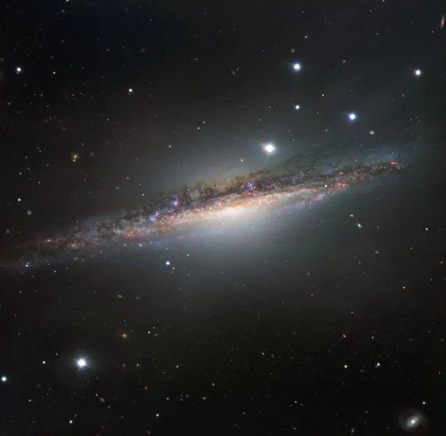 This handout image obtained on March 1, 2017 from the European Southern Observatory (ESO) shows NGC 1055 in the constellation of Cetus (The Sea Monster) as captured by ESOs Very Large Telescope. This large galaxy is thought to be up to 15 percent larger in diameter than the Milky Way. NGC 1055 appears to lack the whirling arms characteristic of a spiral, as it is seen edge-on. However, it displays odd twists in its structure that were probably caused by an interaction with a large neighbouring galaxy. (Photo by AFP Photo/European Southern Observatory)