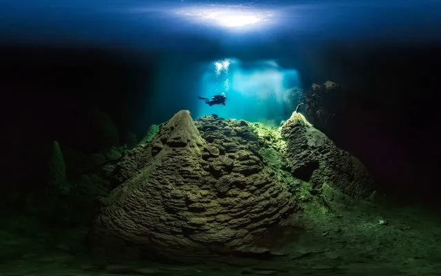 Cave Diver, Anhumas Abyss, Bonito, Brazil: The Anhumas Abyss is an underground cavern with a crystal-clear lake below, more than 260 feet (79 m) deep. A visitor must enter through a narrow opening at the top of the chamber and rappel into the cave. Snorkeling and scuba diving in the lake reveal amazing scenery. Distinctive, conical limestone stalagmites and stalactites occupy the lake and the surrounding area, some reaching 65 feet (20 m) high. “One must rappel about 235 feet (72 m) to get down into this deep lake. The photo was taken at a depth of 50 feet (15 m). It was a challenge to create the image because of the high contrast, plus the diver could not see into the darkness, making communication impossible”. (Photo by Marcio Cabral/Nature’s Best Photography Awards 2017)