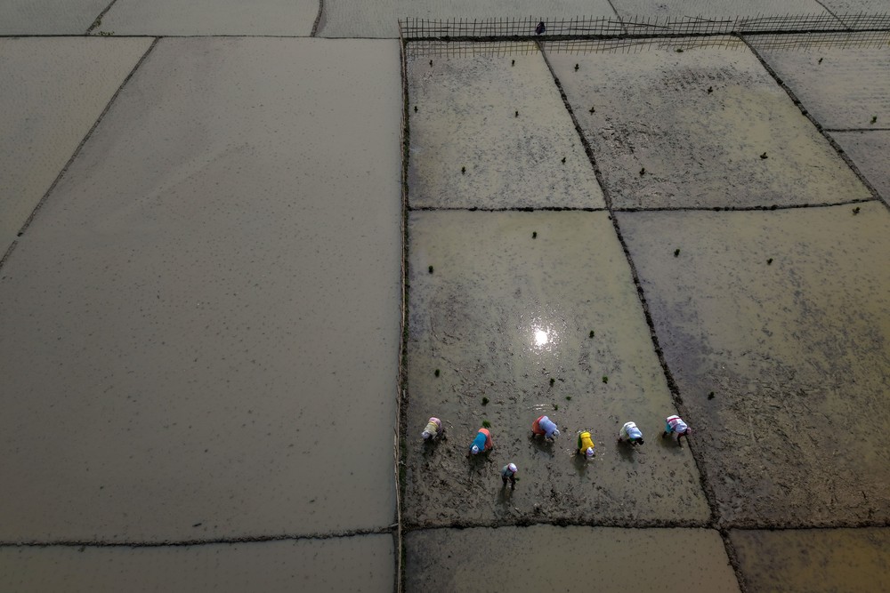 A Look at Life in India