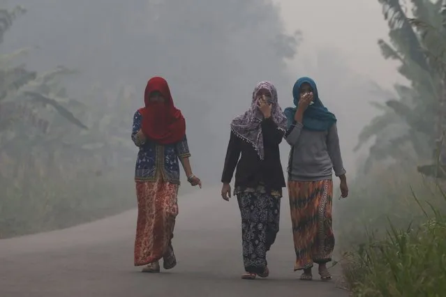 Villagers walk on a street as the haze shrouds Pulau Mentaro village in Muaro Jambi, on the Indonesian island of Sumatra, September 15, 2015. A worsening haze across northern Indonesia, neighbouring Singapore and parts of Malaysia on Tuesday forced some schools to close and airlines to delay flights, while Indonesia ordered a crackdown against lighting fires to clear forested land. (Photo by Reuters/Beawiharta)