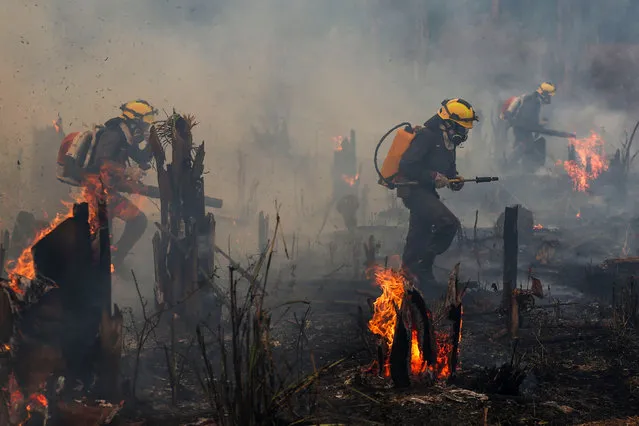 Firefighters and volunteers combat a fire on the Amazonia rainforest in Apui, southern Amazonas State, Brazil, on September 21, 2022. According to the National Institute for Space Research (INPE), hotspots in the Amazon region saw a record increase in the first half of September, being the average for the month 1,400 fires per day. (Photo by Michael Dantas/AFP Photo)
