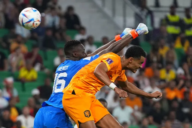 Cody Gakpo of the Netherlands, right, scores the opening goal during the World Cup, group A soccer match between Senegal and Netherlands at the Al Thumama Stadium in Doha, Qatar, Monday, November 21, 2022. (Photo by Petr David Josek/AP Photo)