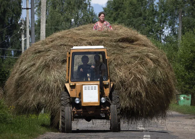 A woman sits on top of a pile of hay transported by a tractor in the village of Sera, 200 km (124 miles) north-east of Moscow, Russia, Sunday, August 9, 2020. (Photo by Dmitri Lovetsky/AP Photo)