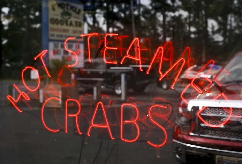 Crab-Catching Blues