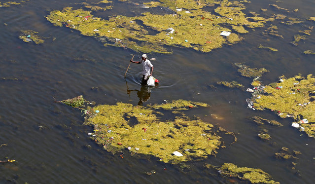 A man looks for recyclable items in the polluted waters of the Sabarmati river, ahead of World Water Day, in Ahmedabad, India, March 21, 2018. (Photo by Amit Dave/Reuters)