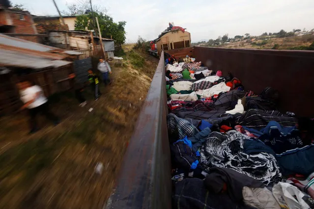 Central American migrants, moving in a caravan through Mexico, travel in an open wagon of a freight train after stopping it on the rail line, in Michoacan state, Mexico April 17, 2018. (Photo by Edgard Garrido/Reuters)