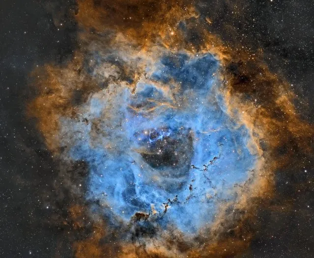 Roseta-NBv5. Measuring 50 light years in diameter, the large, round Rosette Nebula is found on the edge of a molecular cloud in the constellation of Monoceros the Unicorn. At the core of the nebula the very hot young stars have heated the surrounding gaseous shell to a temperature in the order of 6 million kelvins, resulting in the emission of copious amounts of X-Rays. (Photo by Juan Ignacio Jimenez)