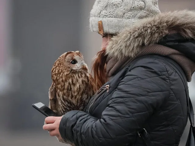 A woman with an owl, which poses for pictures with tourists, uses her mobile phone as they wait for clients in central Kiev, Ukraine on January 28, 2020. (Photo by Gleb Garanich/Reuters)
