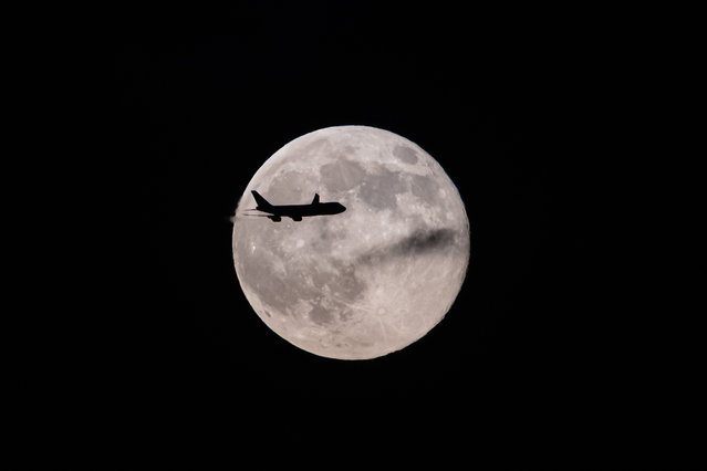 A UPS Boeing 747 inbound from Anchorage, Alaska passes in front of the moon as it approaches Louisville Muhammad Ali International Airport on Wednesday, November 5, 2025, in Louisville, Ky. (Photo by Jon Cherry/AP Photo)