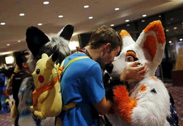 A man kisses a participant dressed in a "fursuit" at the Midwest FurFest in the Chicago suburb of Rosemont, Illinois, United States, December 4, 2015. (Photo by Jim Young/Reuters)
