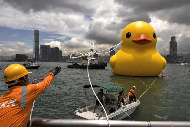 An art installation called “Double Ducks” by Dutch artist Florentijn Hofman is seen at Victoria Harbour in Hong Kong, Friday, June 9, 2023. Two giant inflatable ducks made a splash in Hong Kong's Victoria Harbor on Friday, marking the return of a pop-art project that sparked a frenzy in the city a decade ago. (Photo by Louise Delmotte/AP Photo)
