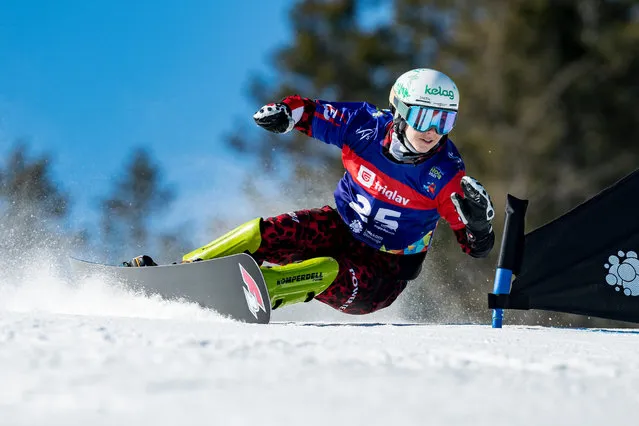 Sabine Shöffmann of Austria competes during the Women's parallel giant slalom qualification at the FIS Snowboard Alpine World Championships on March 1, 2021 in Rogla, Slovenia. (Photo by Jurij Kodrun/Getty Images)