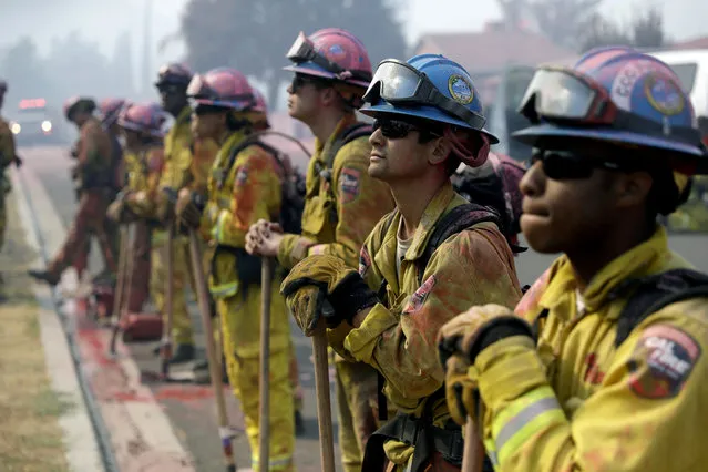 Fire crews line up as they watch a wildfire on a ridge top while protecting a residential area Friday, August 10, 2018, in Lake Elsinore, Calif. (Photo by Marcio Jose Sanchez/AP Photo)