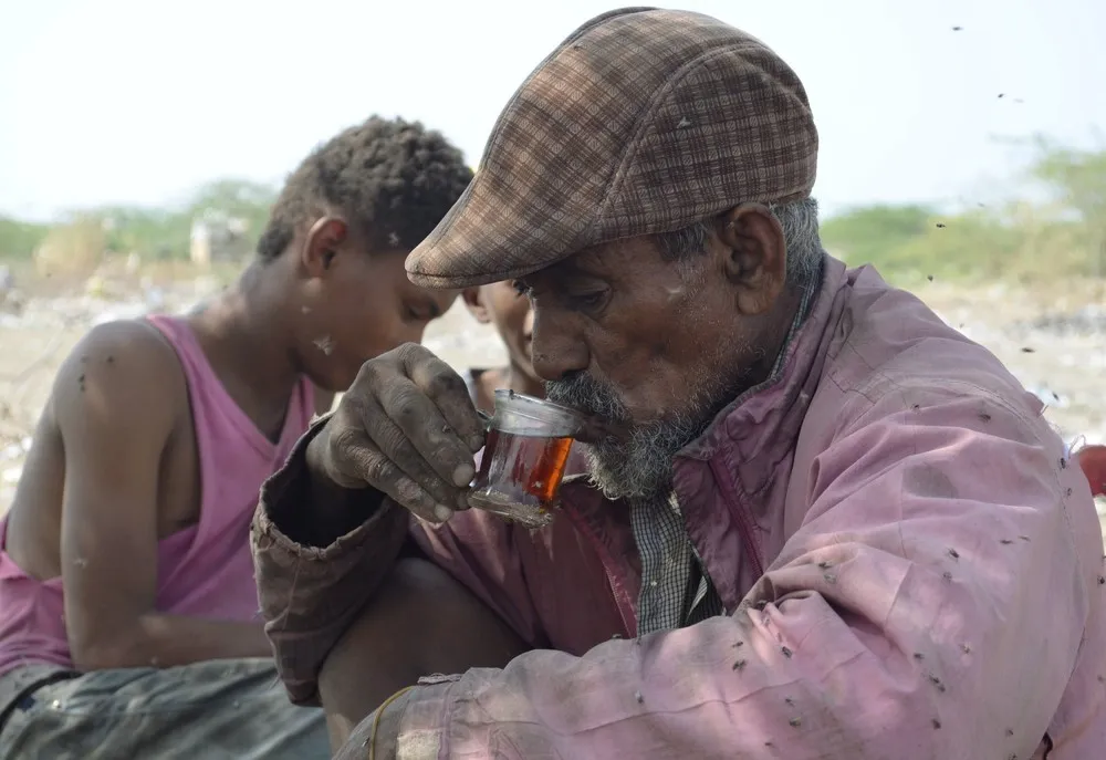 Yemeni Scavengers