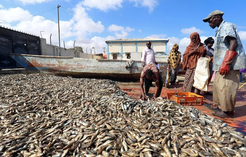 Fishing Season in Somalia