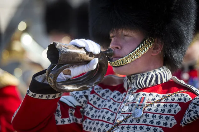 Lance Corporal Liam Seer-Boylan of the 1st Battalion Grenadier Guards holds an original Waterloo Bugle during the official launch of this summer's Beating Retreat on Horse Guards Parade on March 23, 2015 in London, England. (Photo by Rob Stothard/Getty Images)