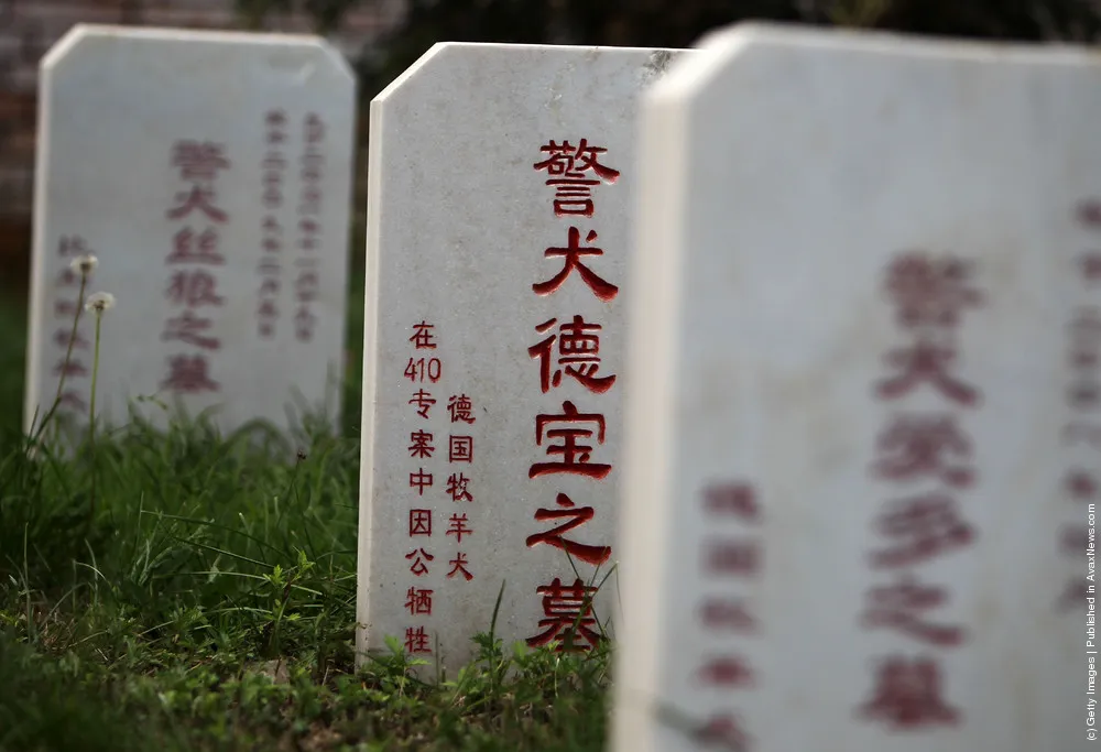 Police Dog Training Base In Beijing