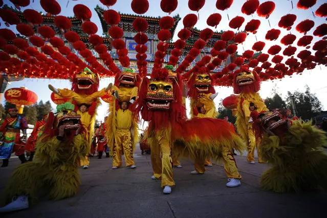 Traditional dancers perform lion dance during the opening of the temple fair for celebrating the Chinese New Year at Ditan Park, also known as the Temple of Earth, in Beijing January 30, 2014. (Photo by Kim Kyung-Hoon/Reuters)