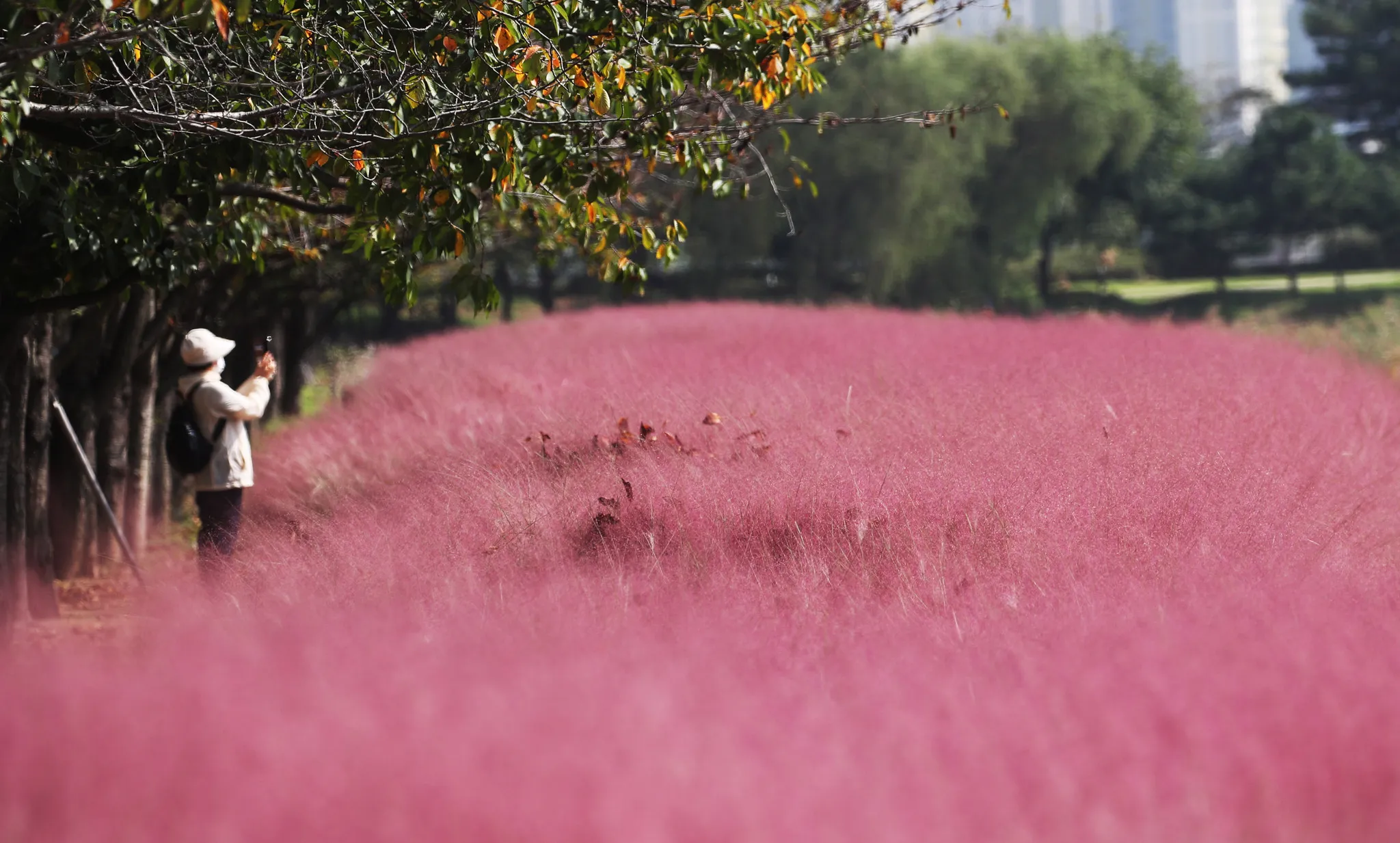 a-look-at-life-in-south-korea