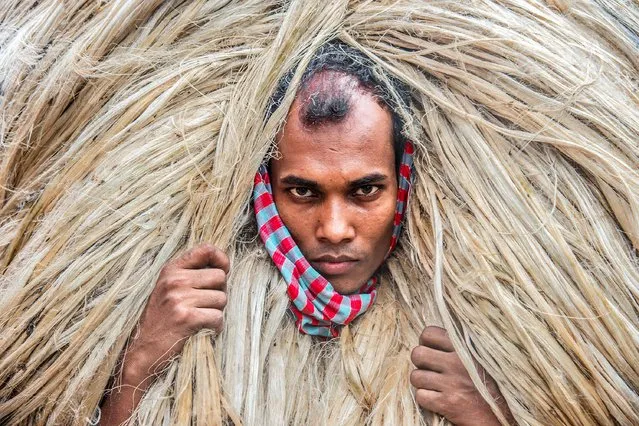 Portrait of a worker carring a 50 Kg of jute package on his head, making it look like they are wearing big wigs, at a wholesale market in central Bangladesh's Manikganj district some 63 km northwest of capital Dhaka on October 3, 2021. Jute is still considered the “golden fiber” in Bangladesh. (Photo by Mustasinur Rahman Alvi/Eyepix Group/Rex Features/Shutterstock)