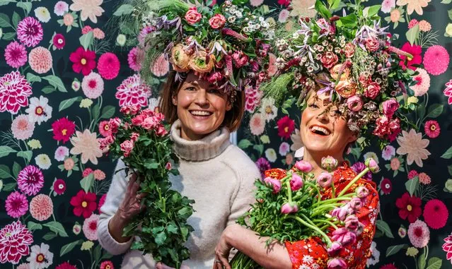The Garden Press Event turned the Business Design Centre in London into a riot of colour on Tuesday, February 20, 2024. The annual event brings together businesses and horticultural enthusiasts. (Photo by Paul Quezada-Neiman/Alamy Live News)