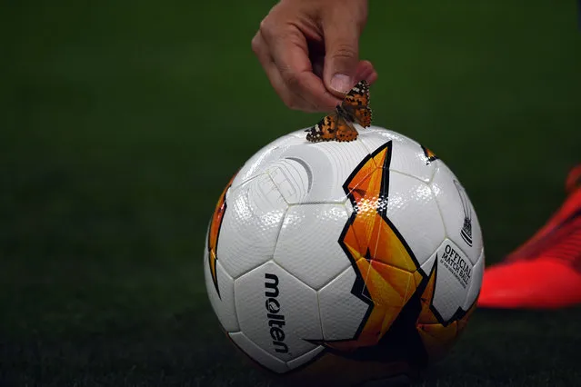 A Chelsea's assistant coach picks up  a butterfly from a football during a training session at the Baku Olympic Stadium in Baku on May 28, 2019 on the eve of the UEFA Europa League final football match between Chelsea and Arsenal. (Photo by Ozan Kose/AFP Photo)