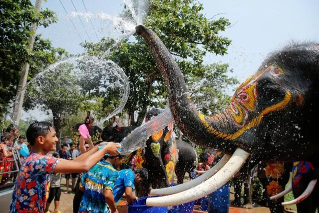 A boy and an elephant splash each other with water during the celebration of the Songkran water festival in Thailand's Ayutthaya province, north of Bangkok, April 11, 2016. (Photo by Jorge Silva/Reuters)