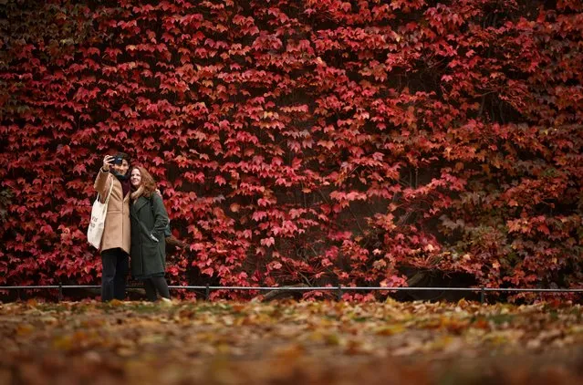 People take a selfie in front of a wall covered in foliage displaying autumnal colours in London, Britain, November 5, 2021. (Photo by Henry Nicholls/Reuters)