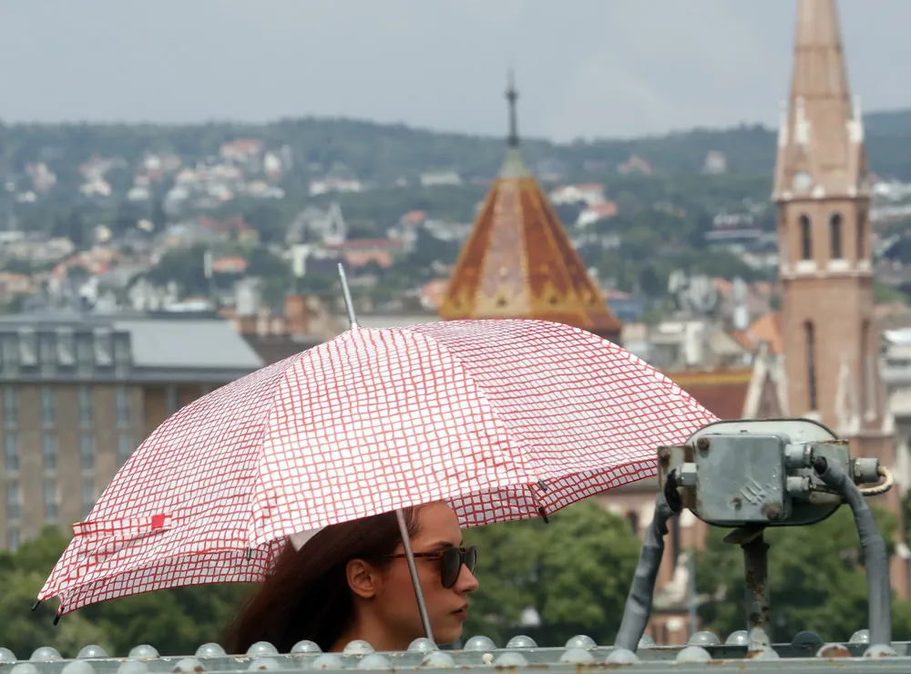 Some Photos: Under an Umbrella