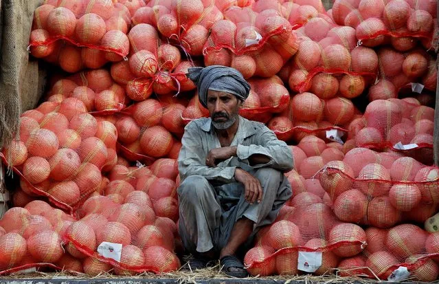 A farmer sits on a trolley loaded with melons as he waits for customers at a wholesale fruit and vegetable market in  Chandigarh, India May 19, 2016. (Photo by Ajay Verma/Reuters)