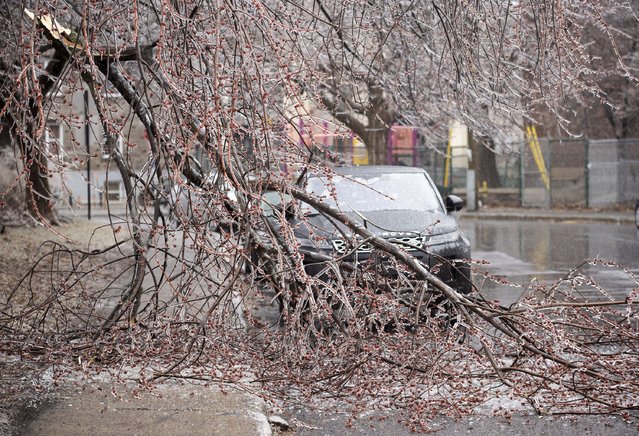 Fallen tree branches are shown on a street following an accumulation of ice rain in Montreal, Wednesday, April 5, 2023. (Photo by Graham Hughes/The Canadian Press via AP Photo)