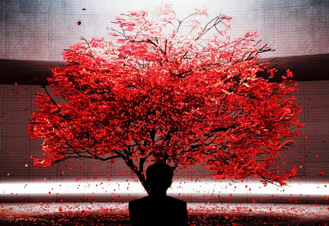 A man looks at a moving LED screen presentation of autumn foliage at the Nissan booth at the Tokyo Motor Show, in Tokyo, Japan on October 24, 2019. (Photo by Edgar Su/Reuters)