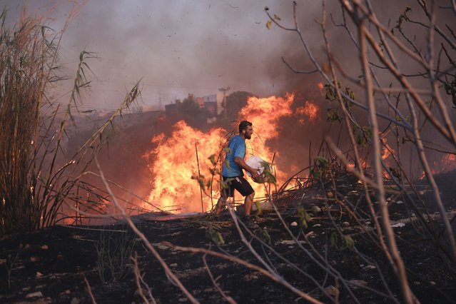 A volunteer tries to extinguish the fire in northern Athens, Monday, August 12, 2024, as hundreds of firefighters tackle a major wildfire raging out of control on fringes of Greek capital. (Photo by Aggelos Barai/AP Photo)