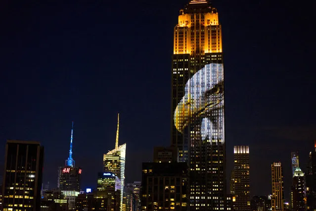 Empire State Building Brings Endangered Animals