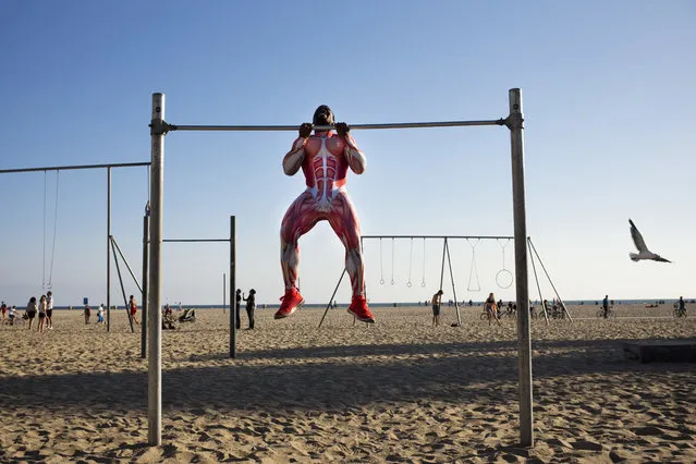 Wearing a bodysuit showing a diagram of the human muscular system, fitness trainer Darren Gumbs works out on the beach Monday, August 21, 2017, in Santa Monica, Calif. Gumbs said he wears the bodysuit to maintain an ideal body temperature and to draw attention. (Photo by Jae C. Hong/AP Photo)