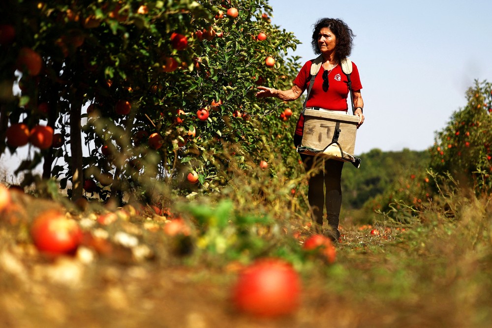 Pictures of the Year 2023, Part 195/224