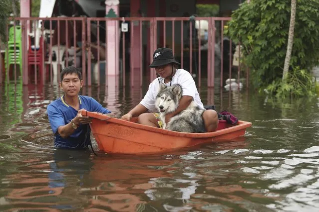 Thai resident wade through floodwaters, Thursday, September 29, 2022, in Ubon Ratchathani province, northeastern Thailand. Heavy rains and strong winds from tropical storm Noru swept across parts of northeastern Thailand on Thursday morning, knocking down trees and triggering flash floods in several areas. (Photo by Nava Sangthong/AP Photo)