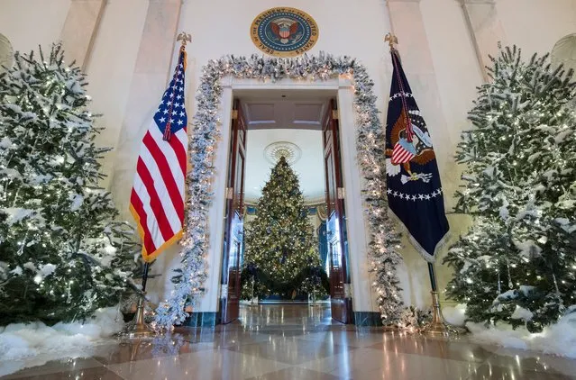 Christmas trees are seen during a preview of holiday decorations in the Grand Foyer of the White House in Washington, D.C., November 27, 2017. (Photo by Saul Loeb/AFP Photo)