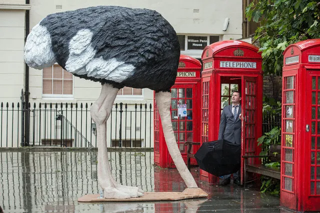 Commuters were disrupted by giant Ostrich in multiple locations across London as comparethemarket.com launches the Institute of Inertia, set to investigate why we bury our heads in the sand when it comes to tackling household finances. New research shows a possible saving of up to £1523.15 per household. (Photo by Jeff Moore/Splash News)