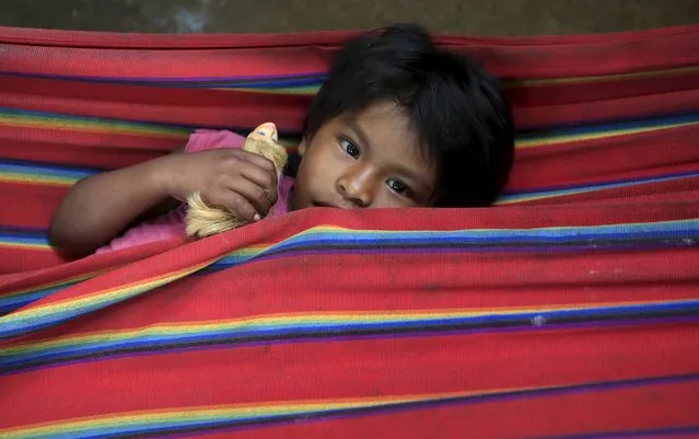 A Colombian Nukak Maku Indian child rests in a refugee camp at Agua Bonita near San Jose del Guaviare of Guaviare province September 3, 2015. Since emerging from the jungle in 2005, half naked and carrying blowpipes, the Nukak have lived in settlements near the frontier town of San Jose del Guaviare, a humid outpost in the Amazon 400 km (250 miles) southeast of the capital Bogota. (Photo by John Vizcaino/Reuters)