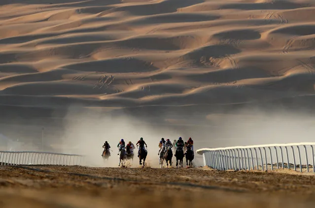 Horses and jockeys in action during the Liwa Sports Festival at Moreeb Dune on January 3, 2017 in Abu Dhabi, United Arab Emirates. (Photo by Francois Nel/Getty Images)