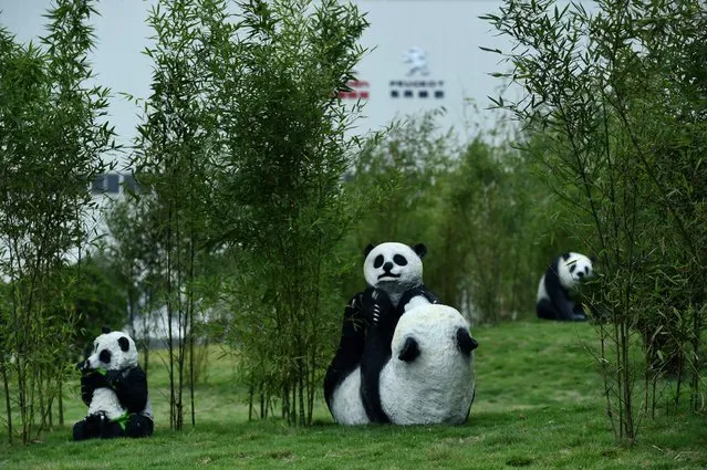 Panda sculptures stand on the grounds at DPCA Chengdu plant in Chengdu on September 7, 2016. French auto giant PSA Peugeot Citroen on September 7 opened its fifth plant in China to embrace a boom in sport-utility vehicles (SUVs), as it tries to stem sharp sales falls in the world's largest car market. (Photo by Wang Zhao/AFP Photo)